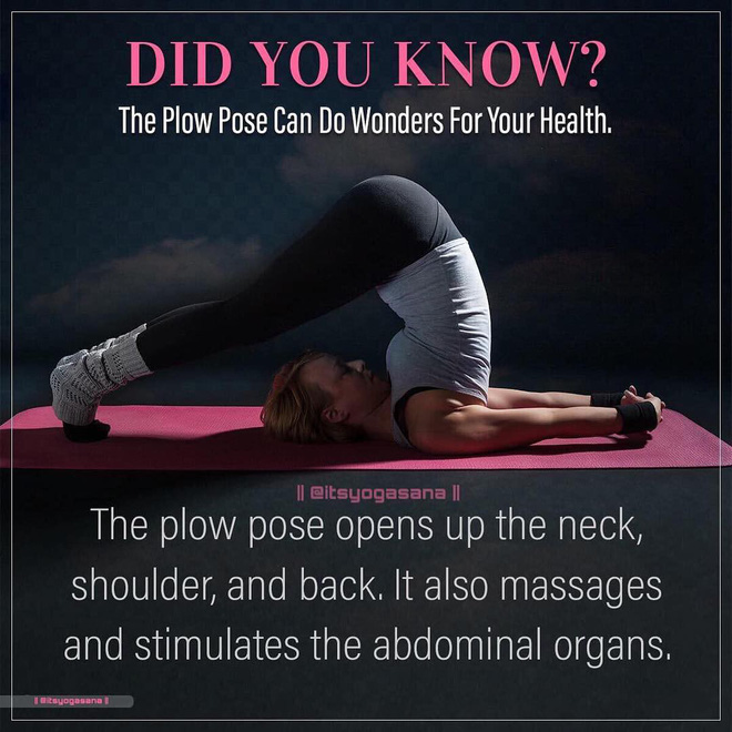 Bạn có biết: 10 tư thế yoga đơn giản sau đây đều có tác dụng rất tốt cho sức khoẻ và tinh thần - Ảnh 4.