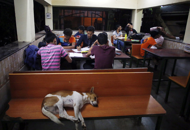 Lớp học ngoài đường ở Mumbai: Mảng tối tại thành phố thịnh vượng bậc nhất Ấn Độ và sự thích nghi đầy cảm phục của trẻ em nghèo hiếu học - Ảnh 8.