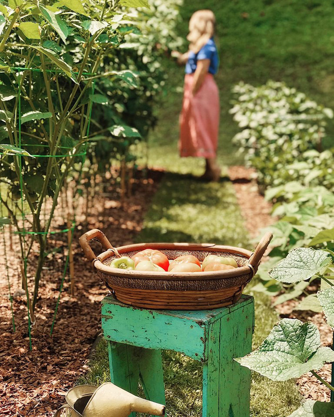 Gặp cô giáo xinh đẹp yêu làm vườn, thích nấu ăn và giấc mơ được trồng rau quả sạch suốt cuộc đời - Ảnh 10.