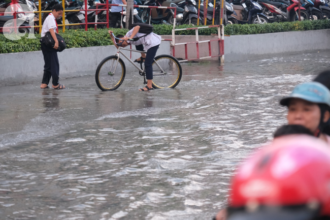 Triều cường lên cao, dân khu nhà giàu ở Sài Gòn cũng không thoát cảnh bì bõm trong nước ngập lúc nửa đêm - Ảnh 10.