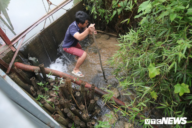 Ảnh: Cận cảnh con suối đen sì gần nhà máy nước sạch sông Đà bị đầu độc bởi dầu thải - Ảnh 3.