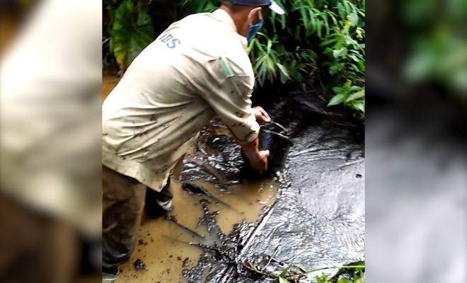 Toàn cảnh vụ đổ trộm dầu thải khiến người dân lao đao khát nước sạch - Ảnh 2.