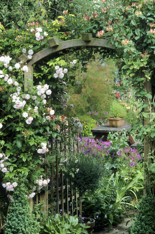 20 khu vườn ở nước Anh đẹp mơ màng bất cứ ai cũng mong muốn được sở hữu - Ảnh 6.