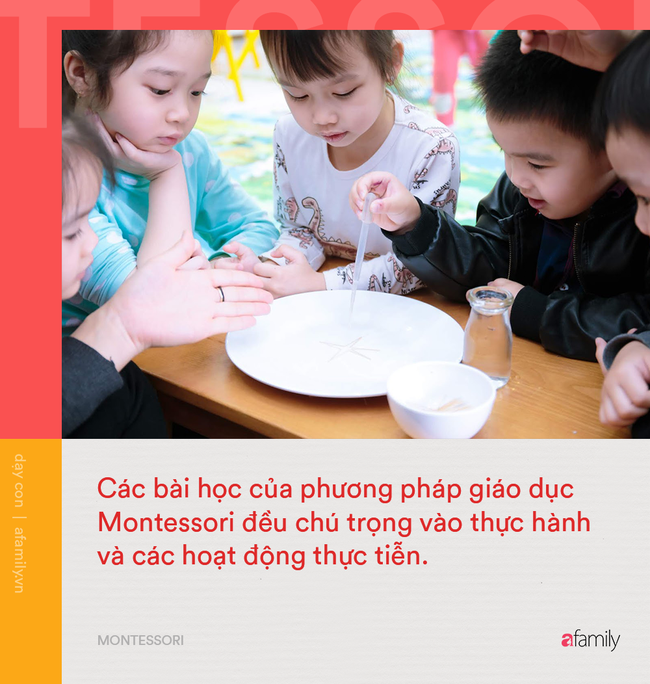 10 điểm khác biệt giữa phương pháp Montessori và giáo dục truyền thống: Montessori giúp trẻ phát triển toàn diện hơn hẳn! - Ảnh 3.