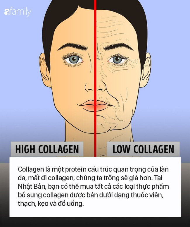 Học phụ nữ Nhật Bản 10 thói quen hàng ngày để không những khỏe mạnh mà còn luôn trẻ hơn nhiều so với tuổi thực - Ảnh 5.