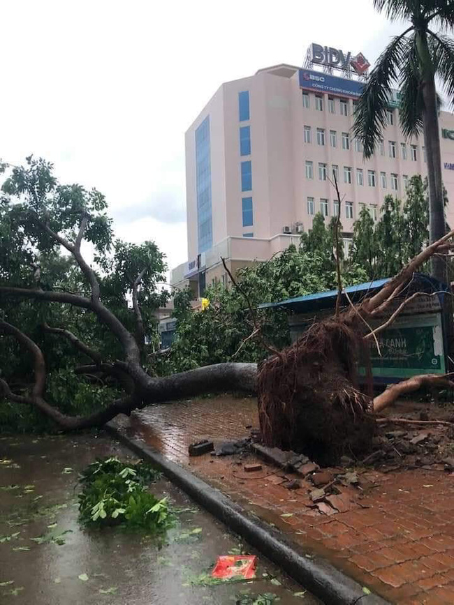 Ảnh hưởng bão số 5: 2 người bị thương, hàng ngàn nhà dân tốc mái - Ảnh 2.