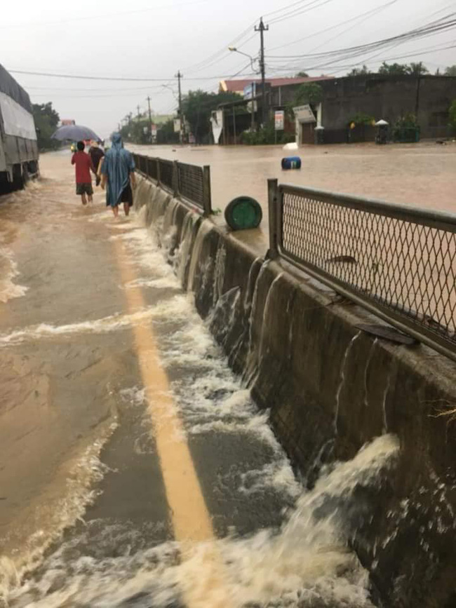 Ảnh hưởng bão số 5: Hàng ngàn nhà dân bị tốc mái, cây xanh ngã đổ nằm la liệt, ít nhất 2 người bị thương - Ảnh 11.