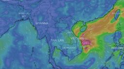Tin bão khẩn cấp: Bão số 5 đã áp sát Bình Định - Phú Yên, giật cấp 12 và gây mưa rất lớn