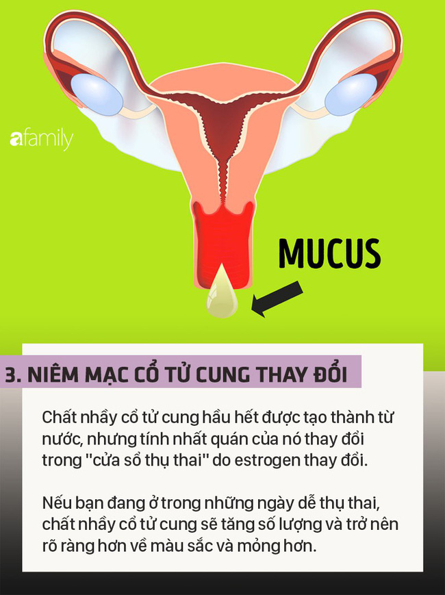 Những dấu hiệu ngầm tiết lộ cho chị em biết đây là những ngày có khả năng thụ thai cao nhất - Ảnh 3.