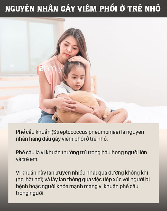 Bệnh viêm phổi ở trẻ em có thể nghiêm trọng hơn các mẹ nghĩ: Những trẻ này có nguy cơ bị bệnh viêm phổi cao hơn - Ảnh 1.