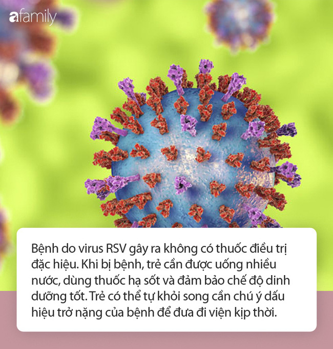 Bác sĩ Nhi khoa cảnh báo thêm một loạt virus cực nguy hiểm, dễ dàng lây khi hôn trẻ nhỏ vào mùa này - Ảnh 3.