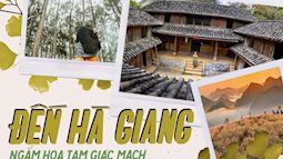 Hà Giang vào mùa hoa tam giác mạch đẹp rực rỡ, chị em còn chờ gì mà chưa đi ngay?