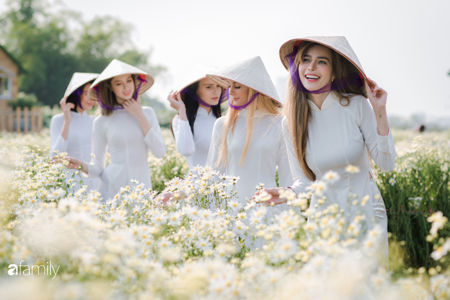 Nghe xôn xao về mùa cúc họa mi siêu đẹp ở Hà Nội, 5 cô gái từ Mỹ, Bồ Đào Nha,... vượt nghìn km để thử mặc Áo dài, đội nón lá giữa vườn hoa - Ảnh 1.