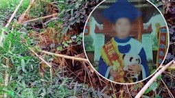 Mẹ kế giết con riêng của chồng, chôn xác ở vườn mía: Nghi phạm có thể thoát án tử hình vì đang nuôi con nhỏ?