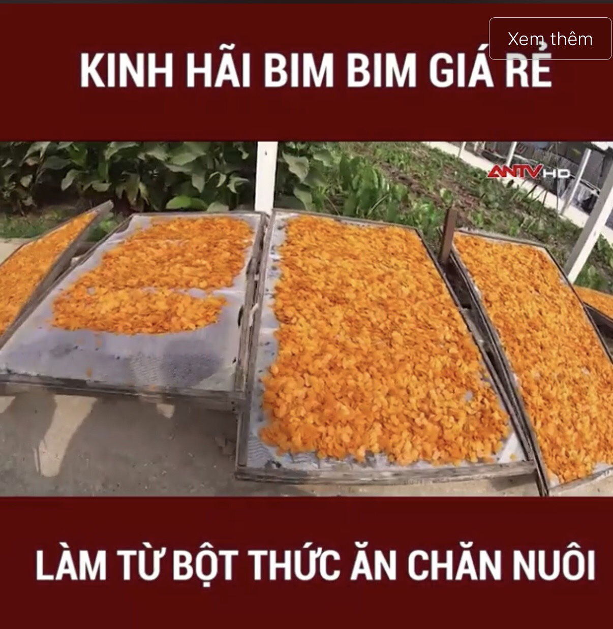 Hiểm họa từ loại bim bim “ngậm” phụ gia, phẩm màu, người bán cũng chẳng dám ăn nhưng lại vô tư bán ra hàng tấn/ngày - Ảnh 1.