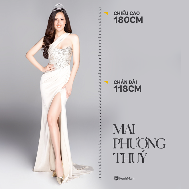 Mai Phương Thúy 1m8 chân 1m18, Lương Thùy Linh 1m78 chân dài tận 1m22: Công thức nào để đo chỉ số body mỹ nhân Vbiz? - Ảnh 2.