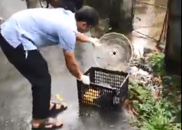 Nghi có xác trẻ em, dân báo công an và cái kết bất ngờ - Ảnh 1.