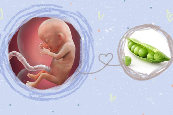 Mang thai tháng thứ 4: Mẹ bầu đang tận hưởng những ngày dễ chịu nhất của thai kỳ - Ảnh 1.