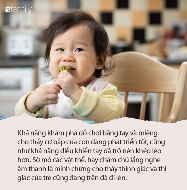 Cha mẹ có biết khi được 6 tháng tuổi, con đã biết tò mò về mọi thứ - Ảnh 1.