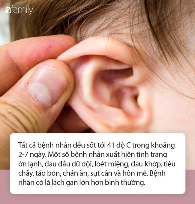 Căn bệnh bí ẩn khiến nhiều gia đình liên tục ốm đau không lời giải thích: Sau 20 năm, các nhà khoa học đã tìm ra câu trả lời gây sốc nặng - Ảnh 2.