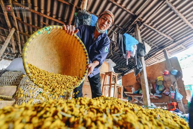 Cánh đồng hoa cúc chi nở vàng rực gần Hà Nội, người dân ồ ạt kéo đến chụp ảnh - Ảnh 15.