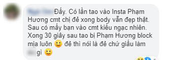 Trước khi xác nhận đã sinh con trai, Phạm Hương đã từng nhiều lần 