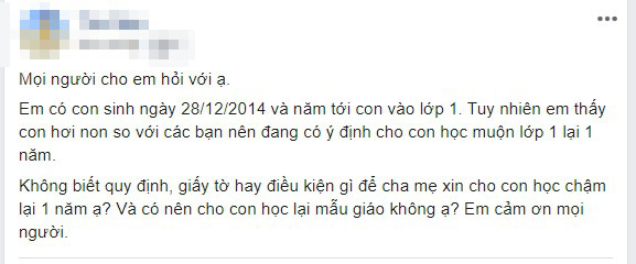 Lời khuyên đắt giá của chuyên gia đối với cha mẹ đang có ý định cho con học lại mẫu giáo, không lên lớp 1 - Ảnh 1.