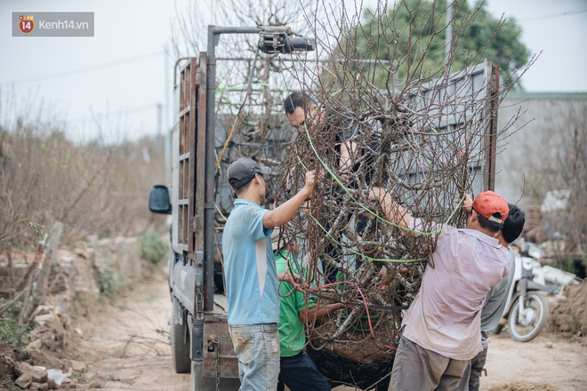 Đào Nhật Tân tấp nập xuống phố, người dân thích thú mua thưởng thức không khí Tết sớm - Ảnh 20.