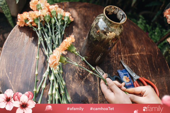 Vừa dễ cắm lại vừa đẹp, hoa cẩm chướng chính là loại hoa không thể thiếu trong ngày Tết - Ảnh 10.