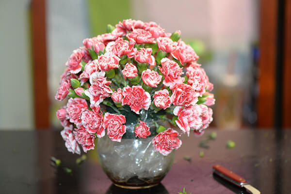 Vừa dễ cắm lại vừa đẹp, hoa cẩm chướng chính là loại hoa không thể thiếu trong ngày Tết - Ảnh 29.