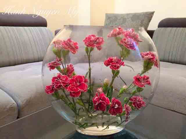 Vừa dễ cắm lại vừa đẹp, hoa cẩm chướng chính là loại hoa không thể thiếu trong ngày Tết - Ảnh 31.