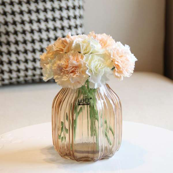 Vừa dễ cắm lại vừa đẹp, hoa cẩm chướng chính là loại hoa không thể thiếu trong ngày Tết - Ảnh 32.
