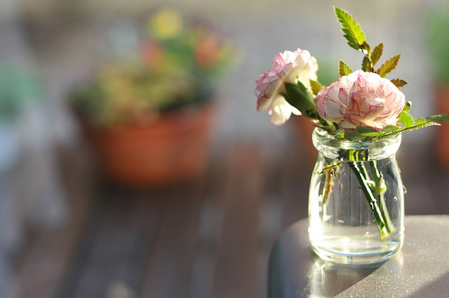 Vừa dễ cắm lại vừa đẹp, hoa cẩm chướng chính là loại hoa không thể thiếu trong ngày Tết - Ảnh 33.