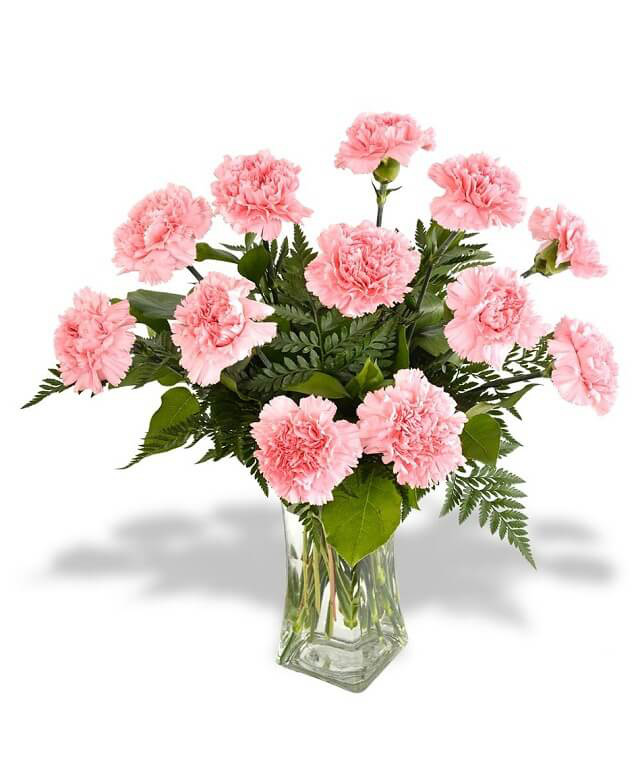 Vừa dễ cắm lại vừa đẹp, hoa cẩm chướng chính là loại hoa không thể thiếu trong ngày Tết - Ảnh 34.