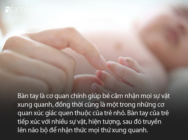 Hai bộ phận trên cơ thể trẻ càng chạm nhiều bé sẽ càng thông minh, cha mẹ nên lưu ý nhé - Ảnh 1.