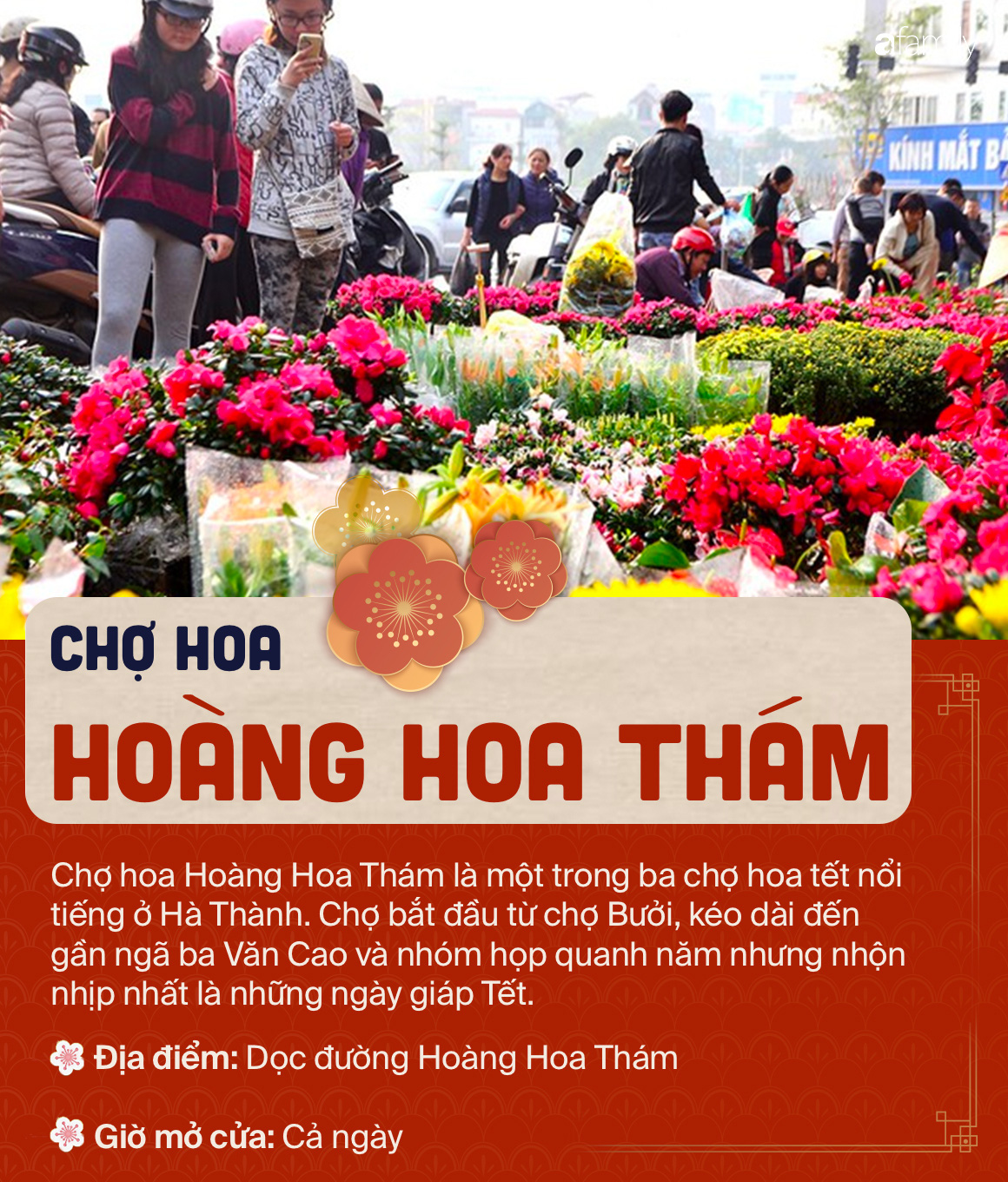 6 chợ hoa nổi tiếng xứ kinh kỳ mà bất cứ người Hà Nội cứ đến Tết là nhất định ghé mua - Ảnh 7.