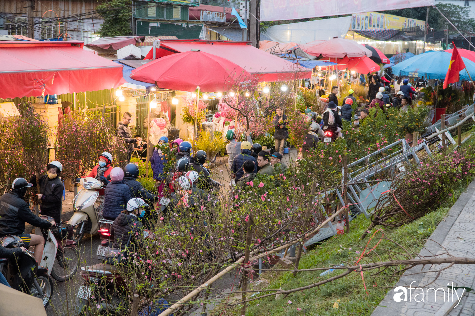 Những khoảnh khắc bình dị ngày cuối năm ở chợ hoa Quảng An, dù lạnh thấu xương nhưng người Hà Nội vẫn nô nức sắm hoa chơi Tết - Ảnh 15.