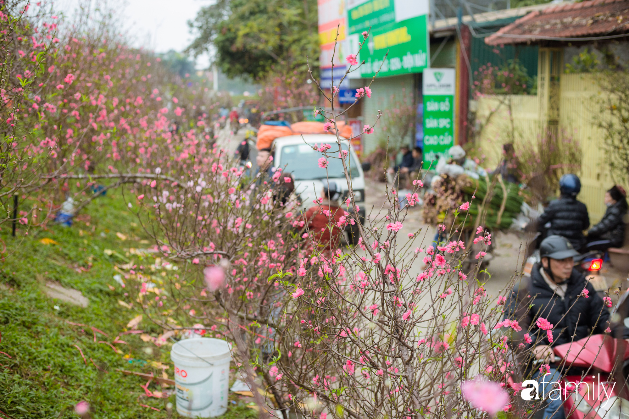 Những khoảnh khắc bình dị ngày cuối năm ở chợ hoa Quảng An, dù lạnh thấu xương nhưng người Hà Nội vẫn nô nức sắm hoa chơi Tết - Ảnh 11.