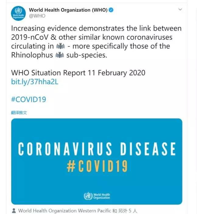 Đây là danh tính loài dơi đang chứa hơn 500 loại virus corona, cùng nhiều điều kỳ lạ khi xét nghiệm máu của những người dân sống gần hang dơi - Ảnh 2.