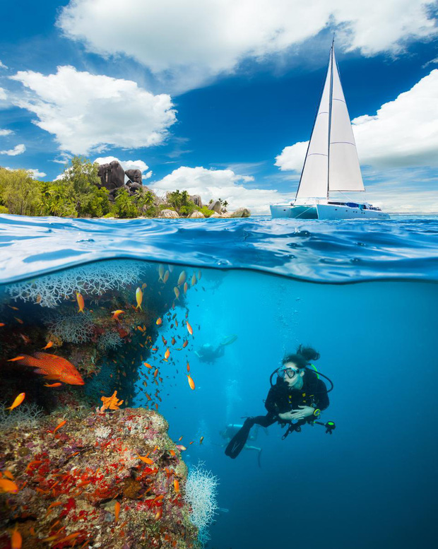 10 địa điểm lặn biển đẹp nhất thế giới vừa được tạp chí Forbes bình chọn, Việt Nam có 1 cái tên bất ngờ lọt vào danh sách này - Ảnh 20.