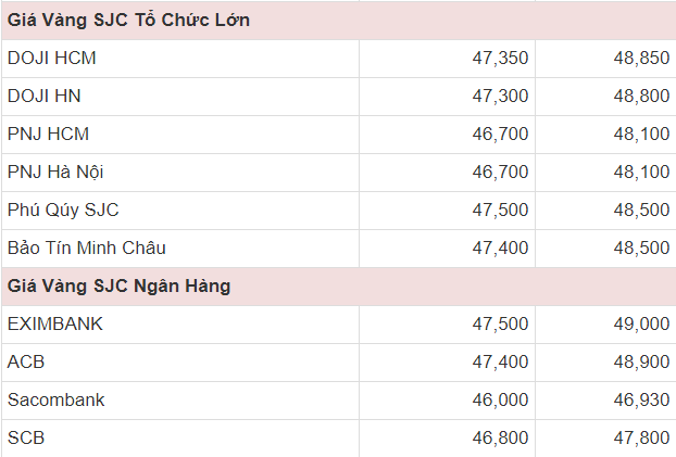 Giá vàng tăng lên 49 triệu/lượng, cao nhất trong vòng 9 năm trở lại đây - Ảnh 4.