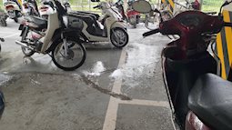 Hà Nội: Mùi hôi thối từ đường nước thải chảy xuống tầng hầm để xe