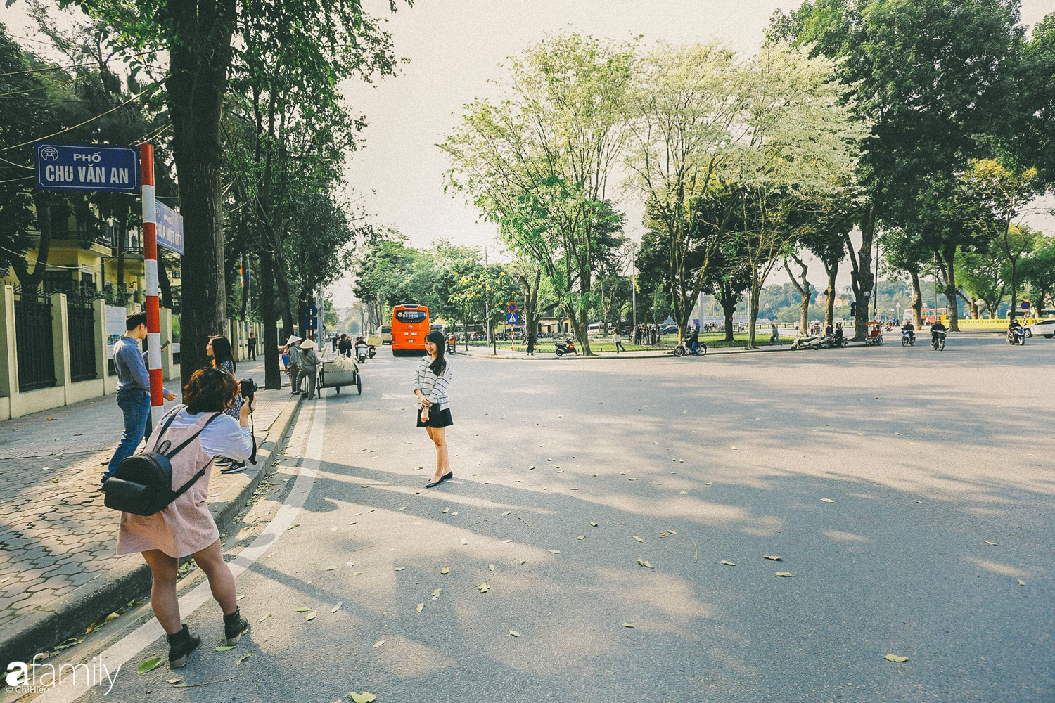 Mùa hoa sưa lại về trên phố, trắng rợp trời Hà Nội như bông mây ngọt ngào gọi mời tháng Ba - Ảnh 8.