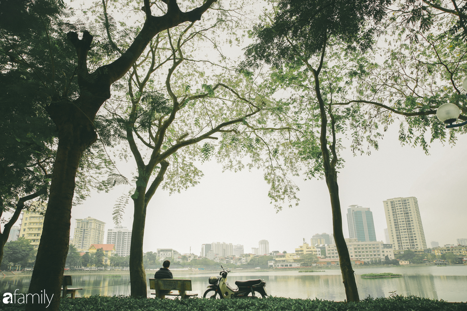 Mùa hoa sưa lại về trên phố, trắng rợp trời Hà Nội như bông mây ngọt ngào gọi mời tháng Ba - Ảnh 9.