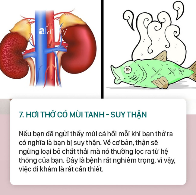 Người bị bệnh gan, thận, ung thư phổi, ung thư dạ dày, bệnh tiểu đường... thì hơi thở thường có mùi như thế này - Ảnh 7.