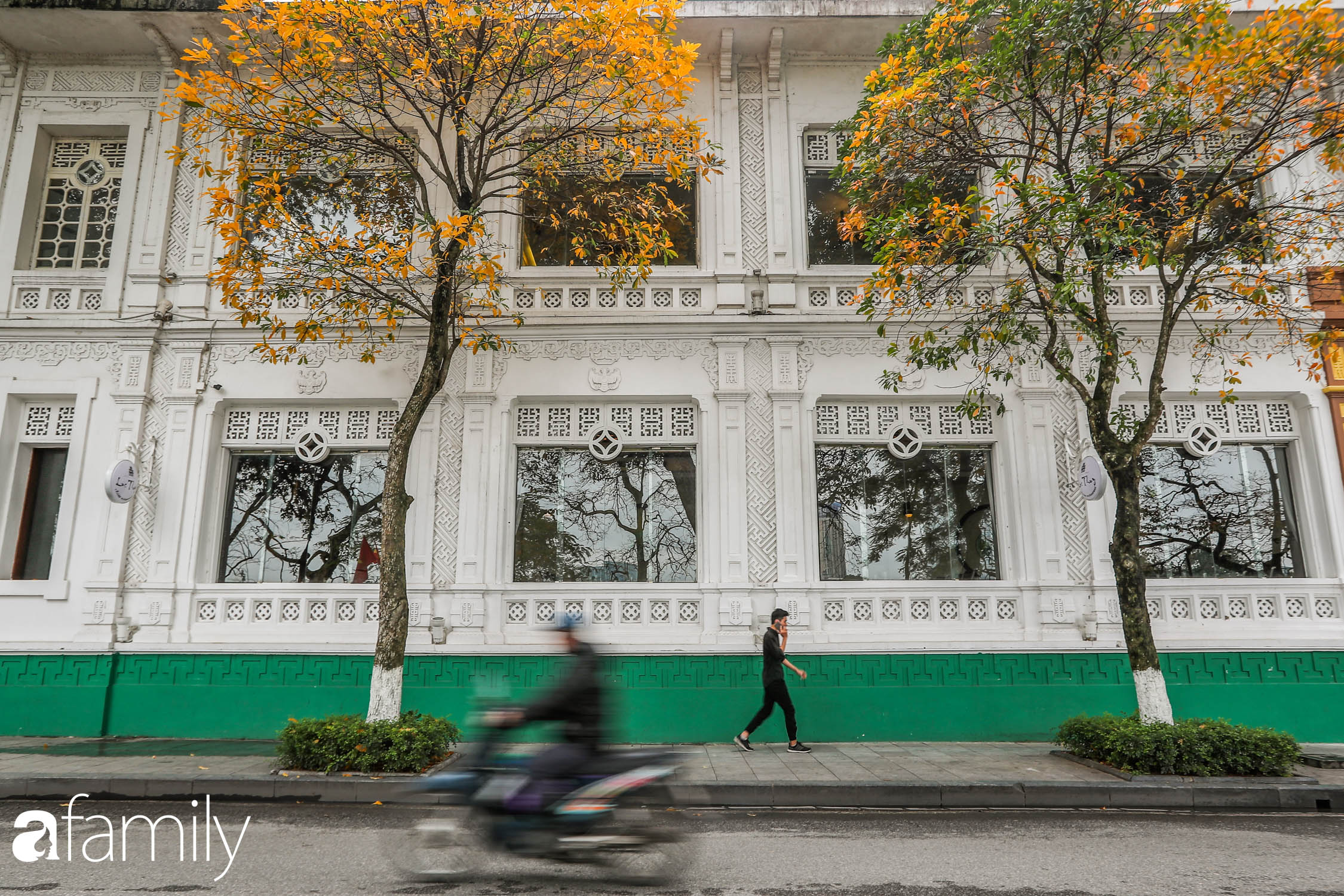 Hà Nội tháng Ba mà cứ ngỡ thu về, bởi vừa có nắng vàng dịu ngọt, vừa có thảm lá vàng 