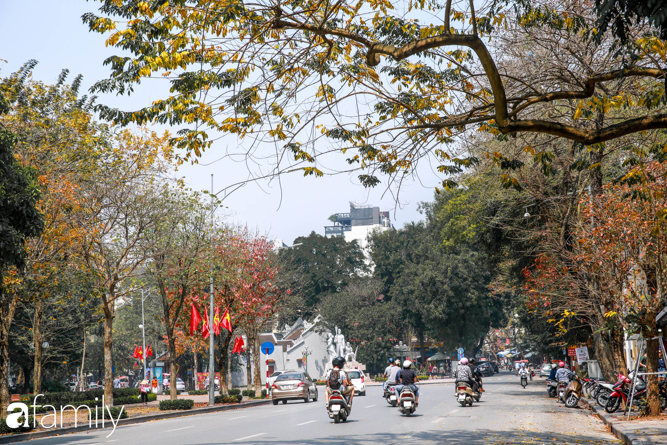 Hà Nội tháng Ba mà cứ ngỡ thu về, bởi vừa có nắng vàng dịu ngọt, vừa có thảm lá vàng 