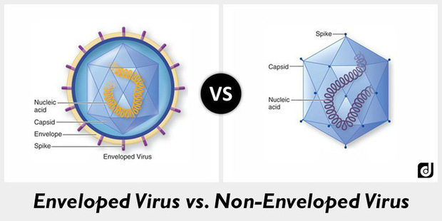 Cồn diệt virus corona như thế nào: Cách chọn nước rửa tay khô an toàn và hiệu quả nhất trong dịch Covid-19 - Ảnh 2.