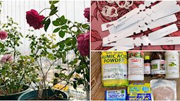 Mẹ Hà Nội chia sẻ bí quyết tự mua phụ kiện tạo nên vườn hồng đẹp mê ly ở ban công