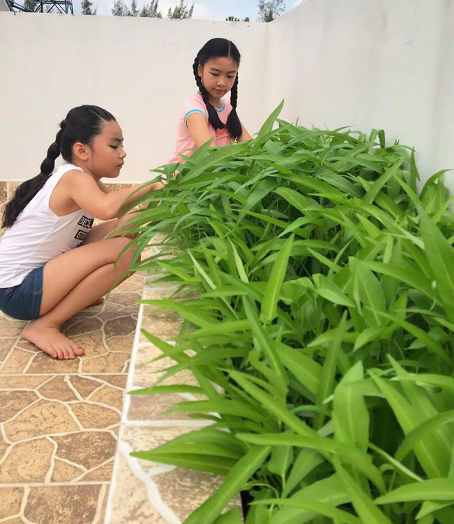 Bà xã Quyền Linh khoe thành quả thu hoạch hoa trái sai trĩu trong căn biệt thự 21 tỷ, được cả chồng lẫn 2 cô con gái xinh đẹp phụ giúp - Ảnh 13.